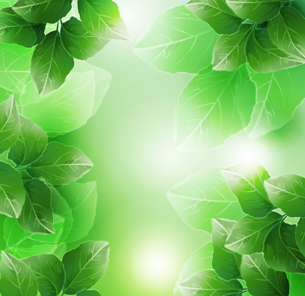 free vector Beautiful green leaves vector